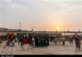تعزیه حر ابن ریاحی در لامرد - فارس 