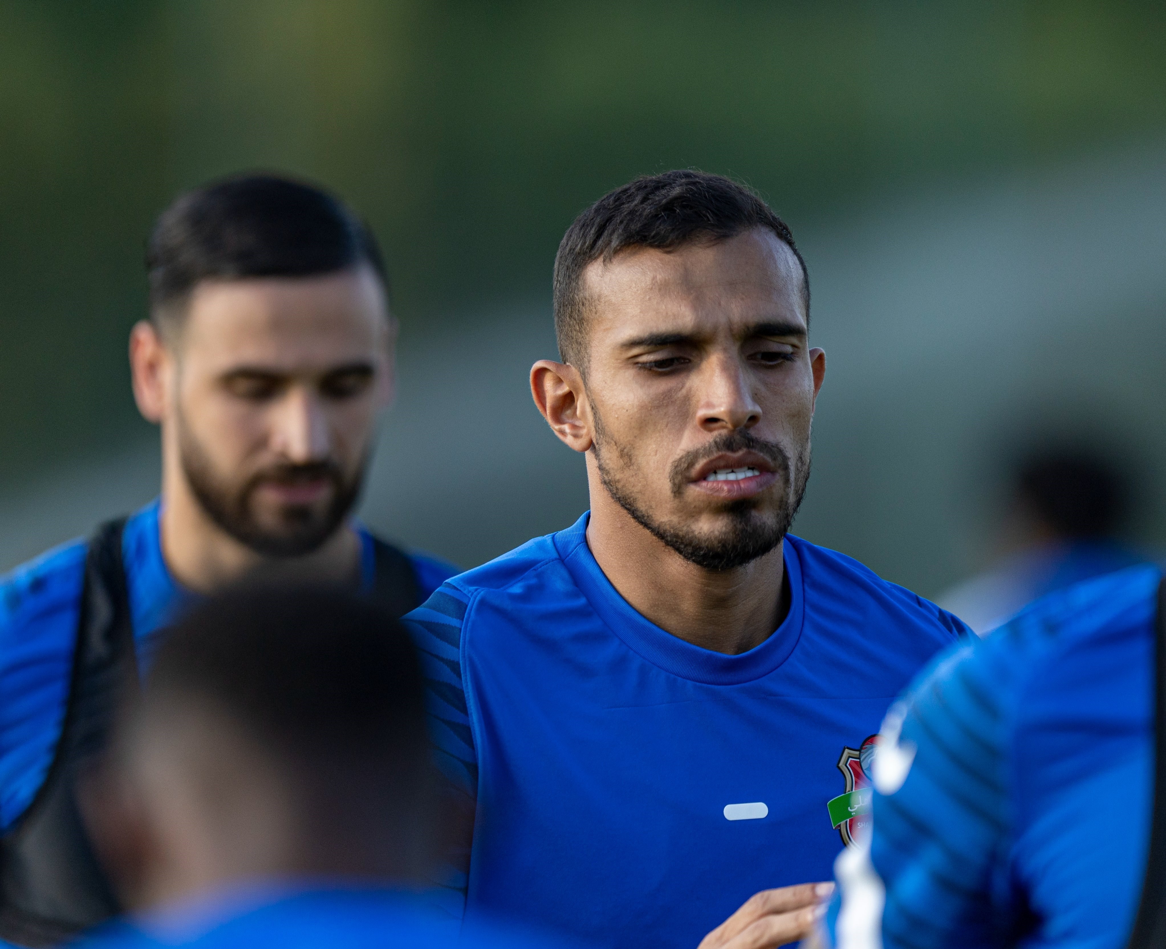 مهدی قائدی , 