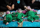 تصاویر منتخب اجتماع شیرخوارگان حسینی در سراسر کشور