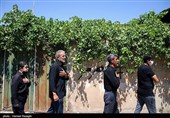 مراسم عزاداری  تاسوعای حسینی در منطقه شریف آباد شهرستان ابهر