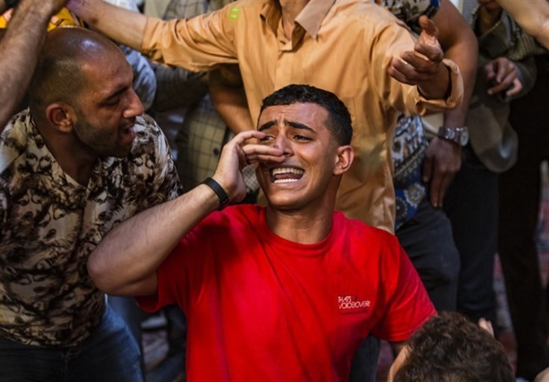 شبکه نمایش خانگی , 