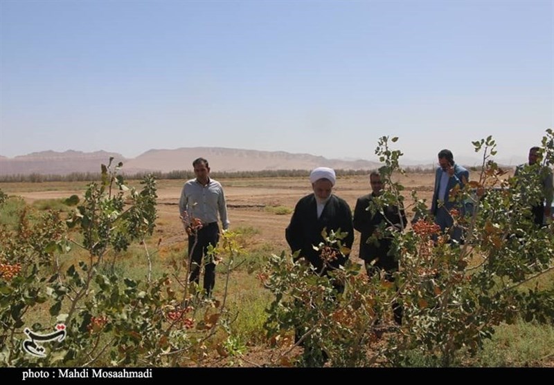 استان کرمان ,