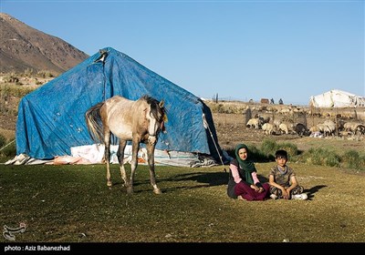 ییلاق عشایر سلسله و دلفان در کوهپایه های گرین - لرستان