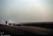 ییلاق عشایر سلسله و دلفان در کوهپایه های گرین - لرستان