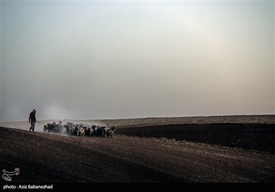 ییلاق عشایر سلسله و دلفان در کوهپایه های گرین - لرستان