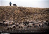 ییلاق عشایر سلسله و دلفان در کوهپایه های گرین - لرستان