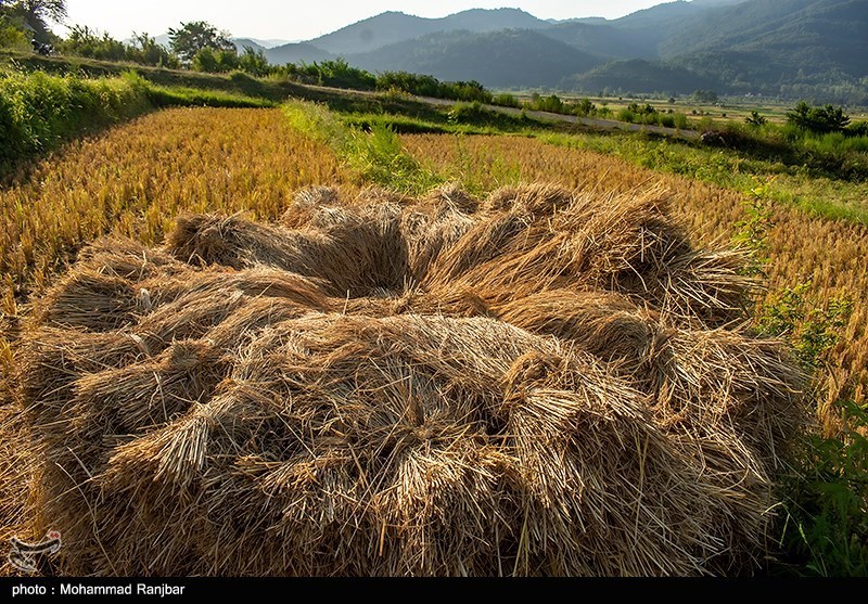نظام مسائل استان مازندران , 