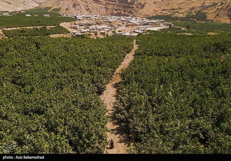 تغذیه سالم , بهداشت و درمان ,