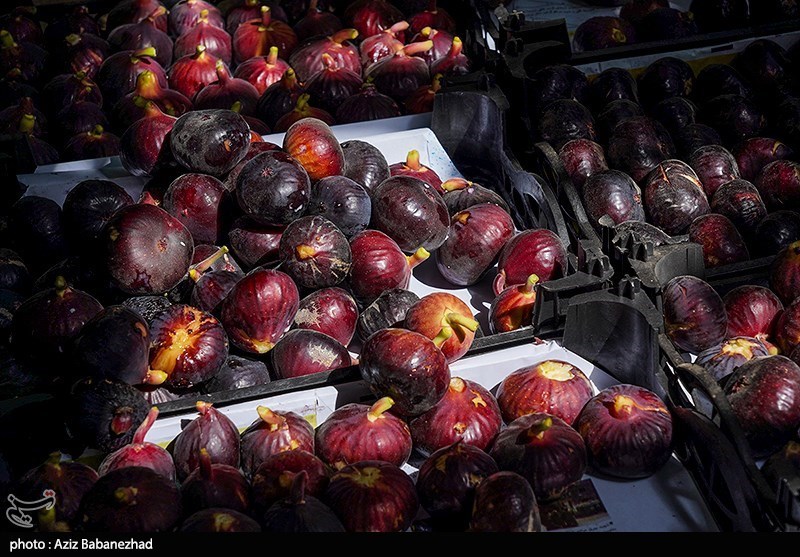تغذیه سالم , بهداشت و درمان ,