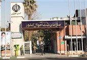 بیش از 4میلیون ایرانی نام و القاب امام رضا(ع) را دارند