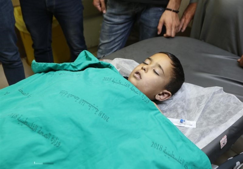 طوفان الاقصی , کشور فلسطین , سینما , تلویزیون , نوار غزه , 