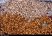 برداشت گردو از باغات گردوی شهر الشتر