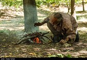 برداشت گردو از باغات گردوی شهر الشتر