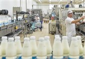 وعده دولت برای کاهش قیمت لبنیات و هشدار داغ درفش به صنایع