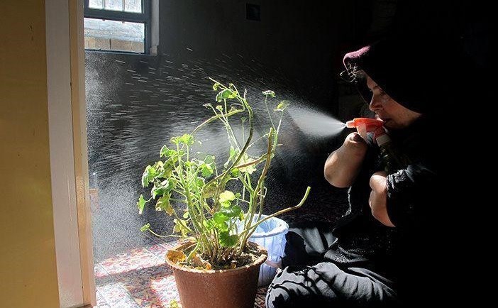 مستند , تلویزیون , سینما , 