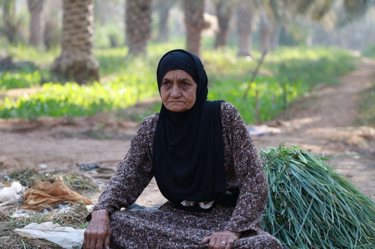 مستند , دفاع مقدس , تلویزیون ,