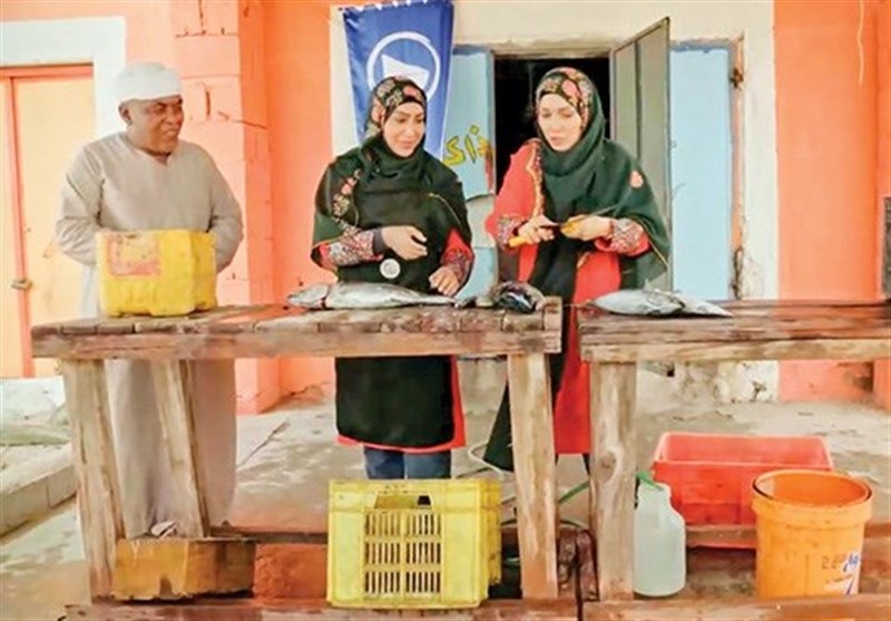 شبکه نسیم , تلویزیون , صدا و سیما ,