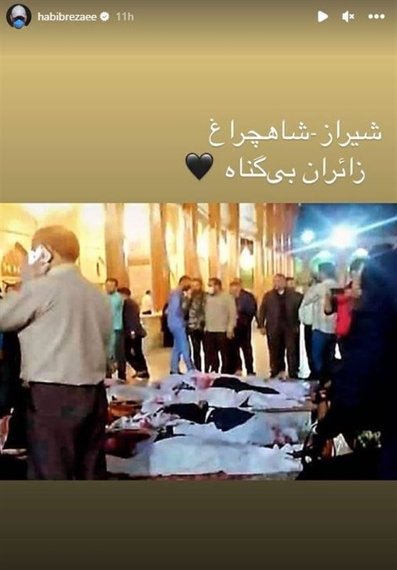 فرهنگ و هنر , بازیگران , حمله تروریستی به شاهچراغ شیراز , آرتین سرایداران ,