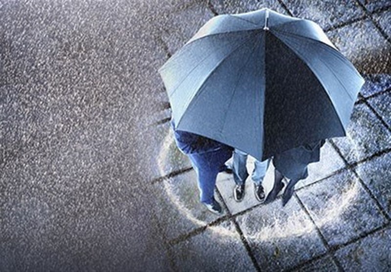 چگونه سهام خود را در بورس بیمه کنیم؟