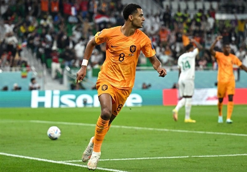 تیم ملی فوتبال هلند , فدراسیون فوتبال سنگال , جام جهانی 2022 قطر , جام جهانی قطر , 