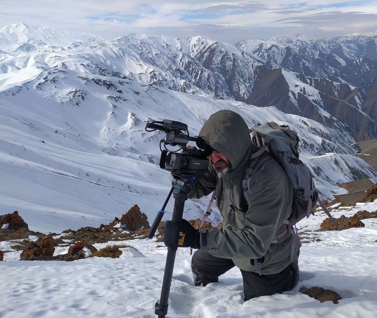 مستند , جشنواره بین‌المللی سینما حقیقت , تلویزیون , سینما , 