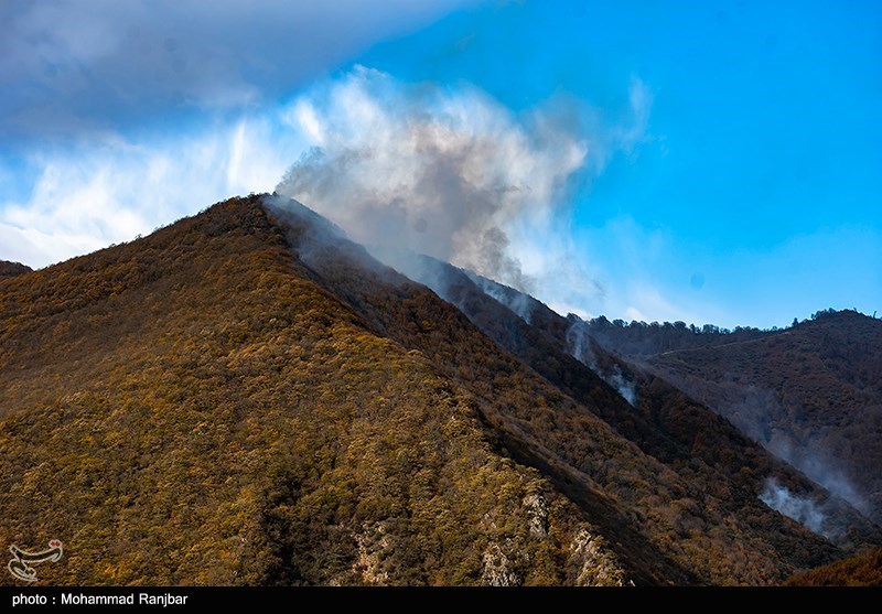 جنگل , اخبار استان گلستان , آتش‌سوزی , اخبار گرگان , نظام مسائل استان گلستان , 