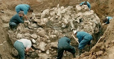 کشور نیجریه , عربستان سعودی , رژیم صهیونیستی (اسرائیل) , کشور آمریکا , ابراهیم زکزاکی | شیخ زکزاکی , 