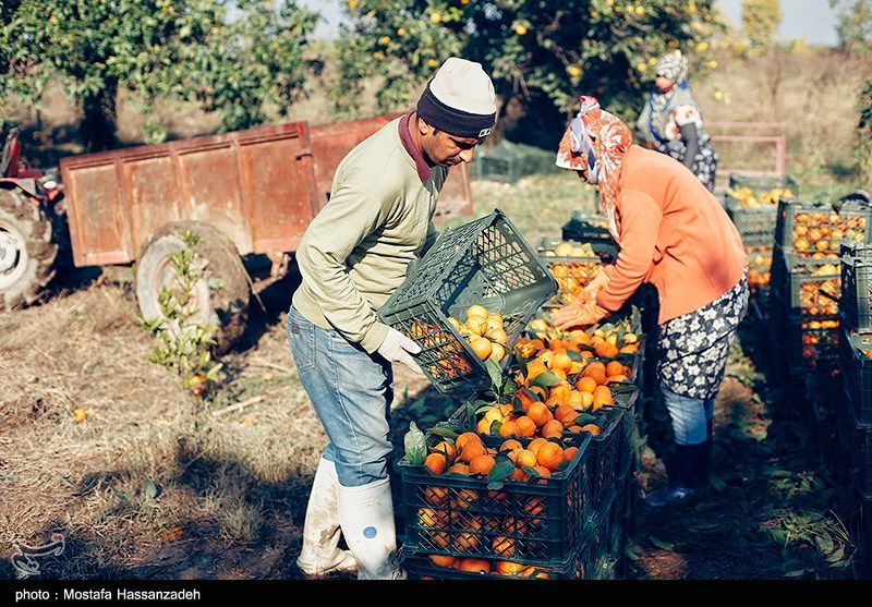 نظام مسائل استان مازندران , نظام مسائل استان , 