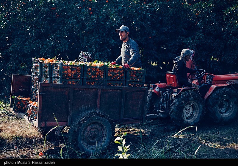 نظام مسائل استان مازندران , نظام مسائل استان , 