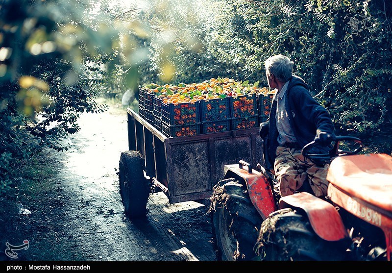 نظام مسائل استان مازندران , نظام مسائل استان , 