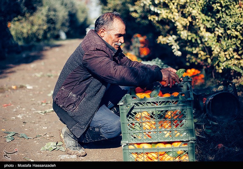 نظام مسائل استان مازندران , نظام مسائل استان , 