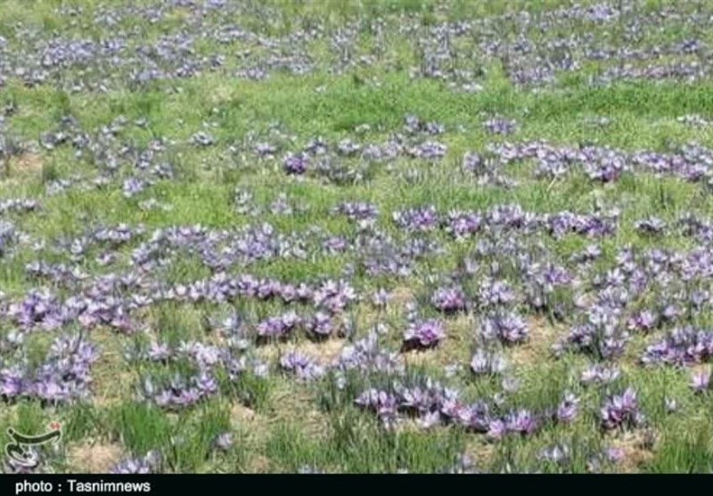 مهاجرت , استان لرستان , زندگی روستایی , 