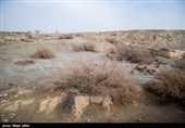 جاری نبودن زاینده رود باعث خشکسالی در شرق اصفهان شده است.