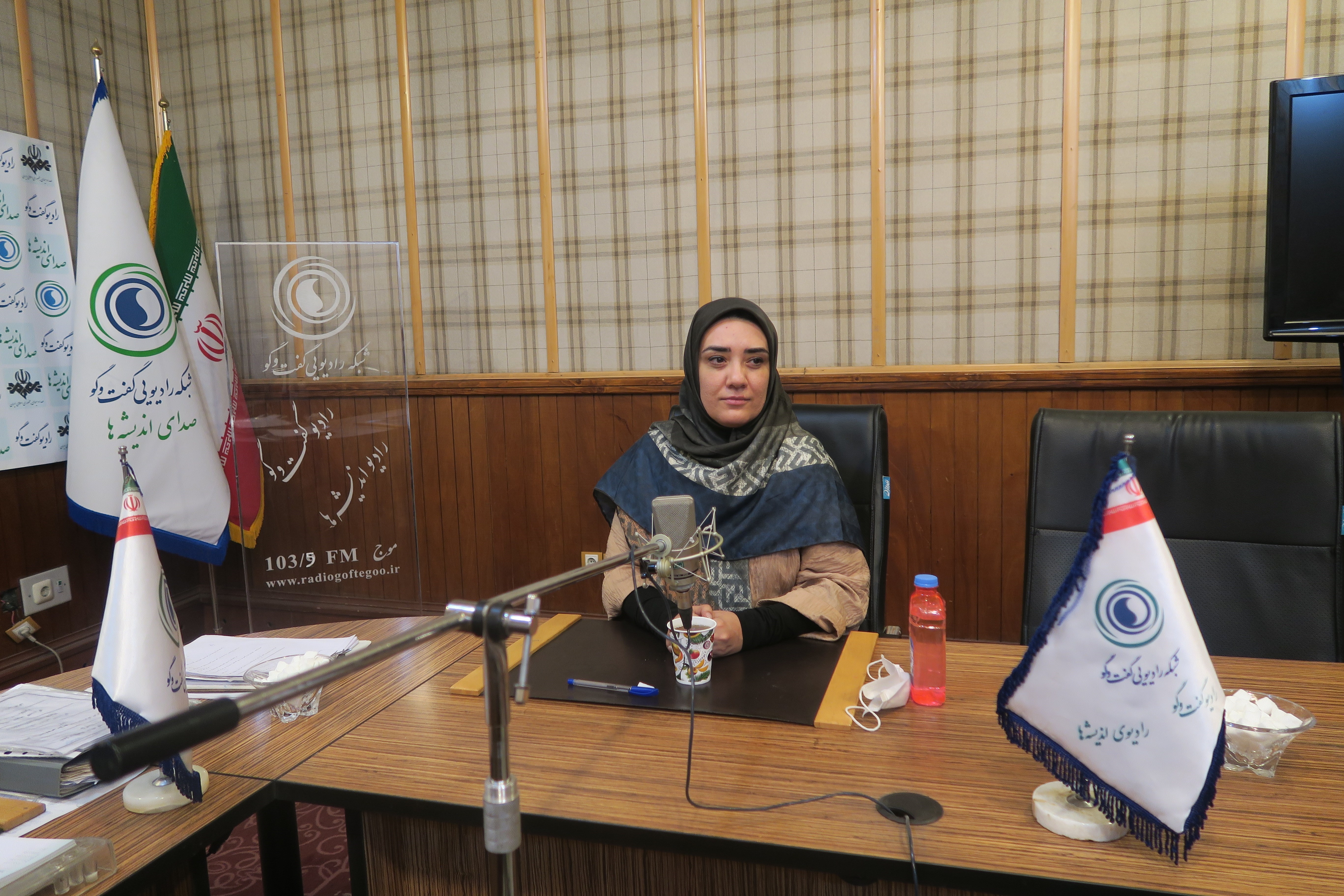 رادیو , جریانات سیاسی در ایران , 