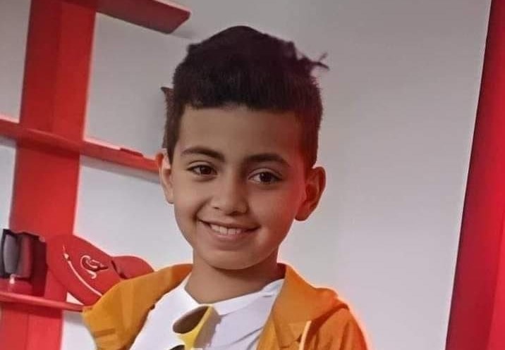 اردوگاه جنین , حزب‌ الله لبنان , 