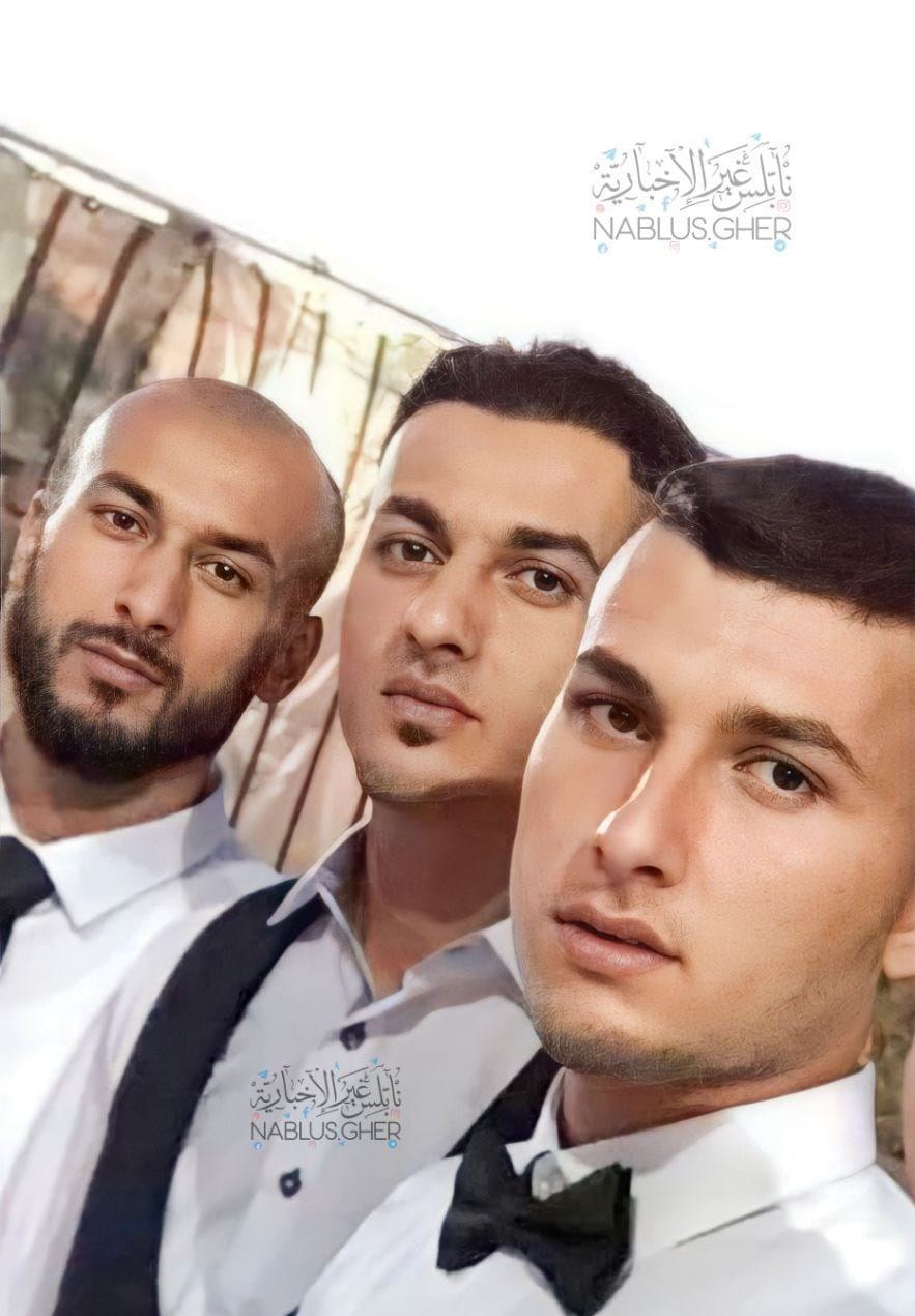 اردوگاه جنین , حزب‌ الله لبنان , 