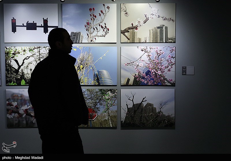 هنرهای تجسمی , کاریکاتور , جشنواره هنرهای تجسمی فجر , 