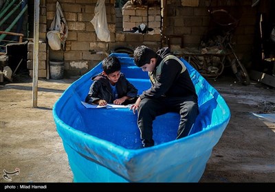 ساکنین تالاب شادگان