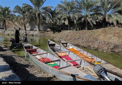 ساکنین تالاب شادگان