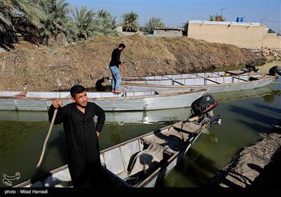 ساکنین تالاب شادگان