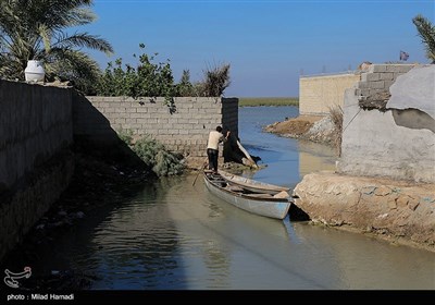 ساکنین تالاب شادگان