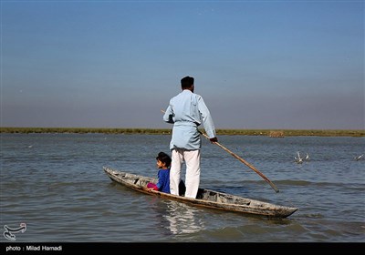 ساکنین تالاب شادگان