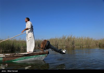 ساکنین تالاب شادگان