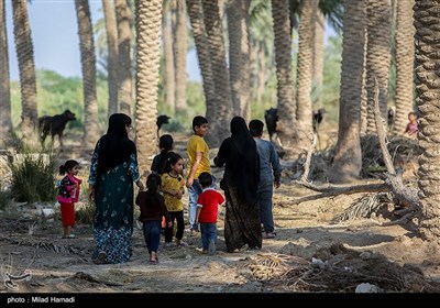 ساکنین تالاب شادگان