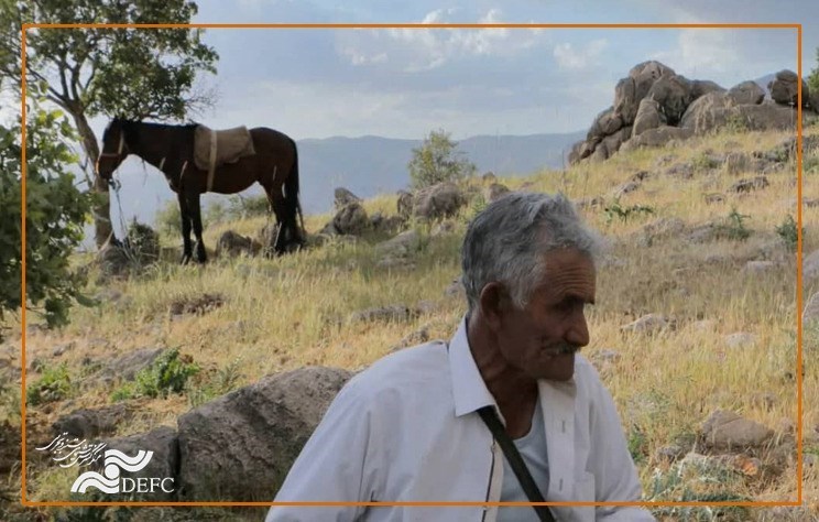 جشنواره فیلم فجر , سینما , مستند , 