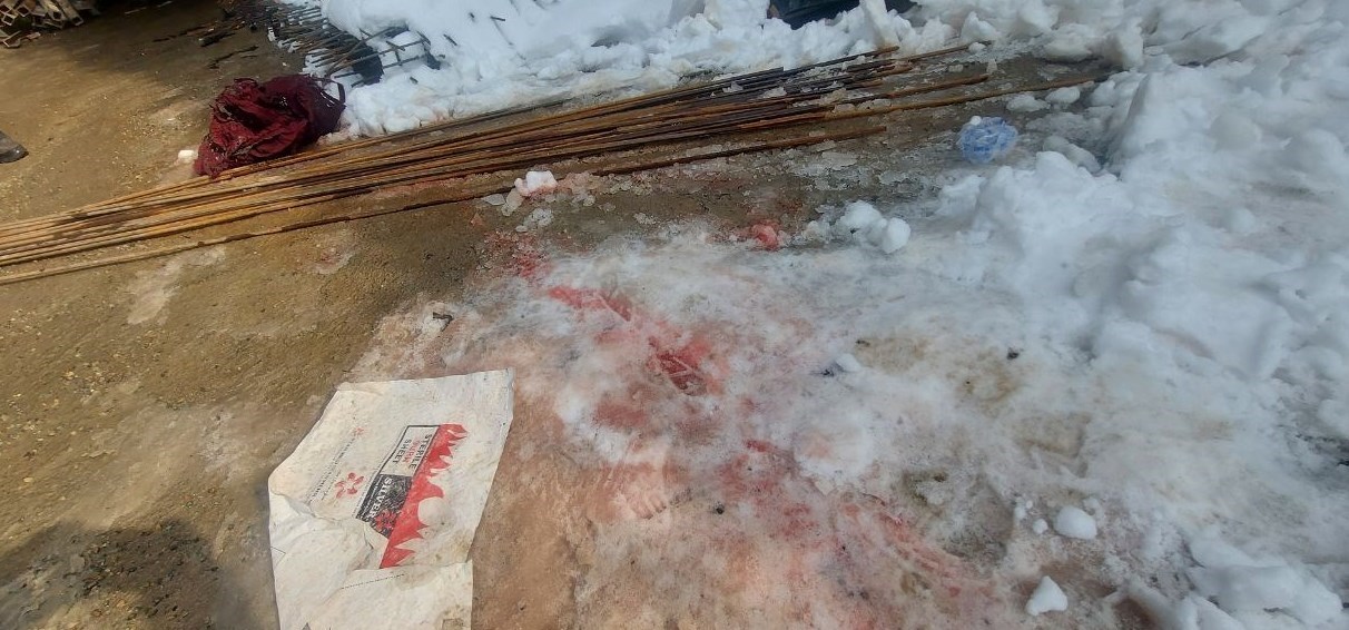 دادسرای امور جنایی , 