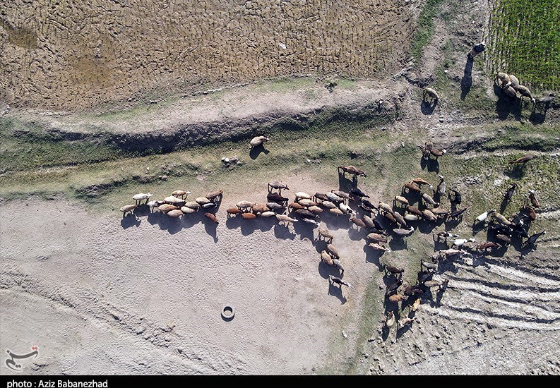 استان لرستان , گرما , آب و هوا , تابستان , بحران آب , اخبار خشکسالی | خشکسالی , 