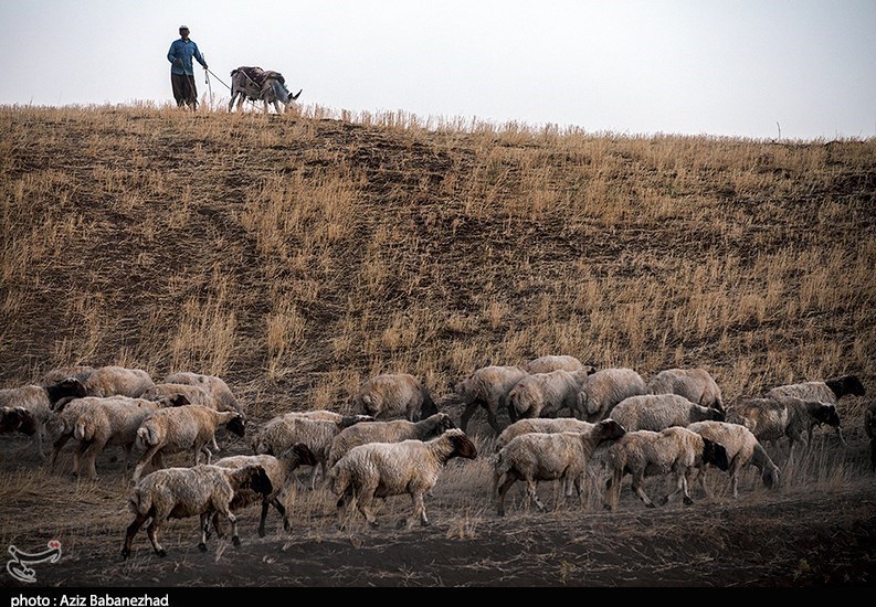 استان لرستان , گرما , آب و هوا , تابستان , بحران آب , اخبار خشکسالی | خشکسالی , 