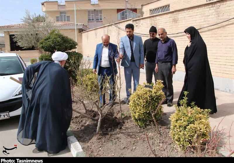 روز درختکاری , 