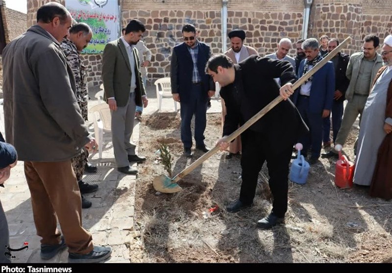 روز درختکاری , 